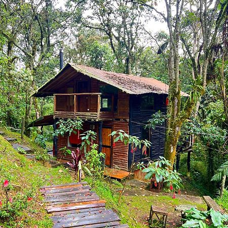 La Cabana Musical Villa Medellin Bagian luar foto